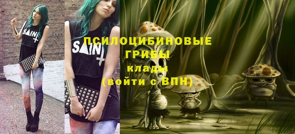 марки lsd Белокуриха