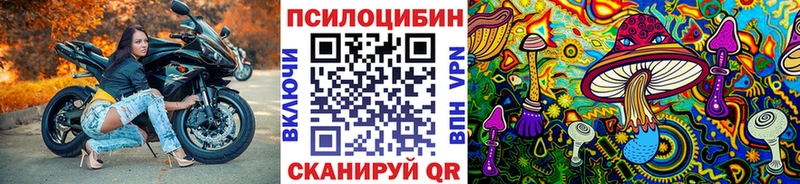 наркота Симферополь Псилоцибиновые грибы Psilocybine cubensis